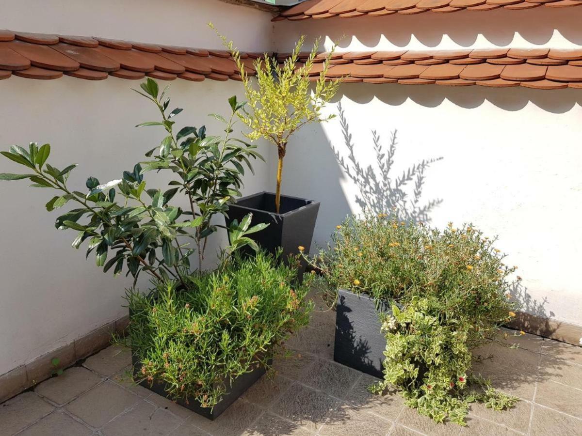 Old Town - Terrace & Parking